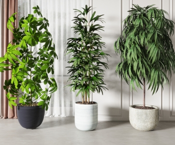 Modern Potted Green Plant-ID:641597039