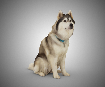 现代宠物雪橇狗-ID:291064988