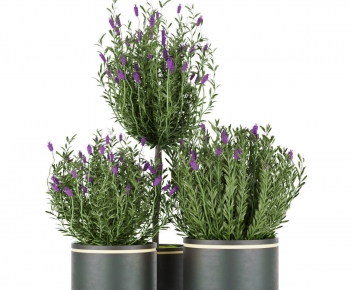 Modern Potted Green Plant-ID:724912882
