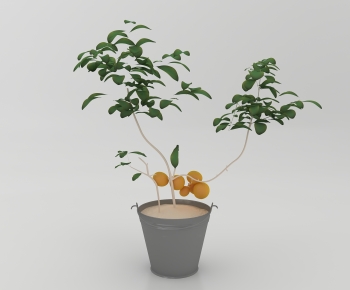 Modern Potted Green Plant-ID:576062929