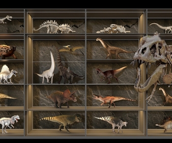 现代恐龙 化石摆件组合-ID:413403031
