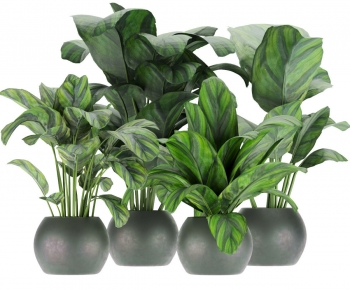 Modern Potted Green Plant-ID:453161955