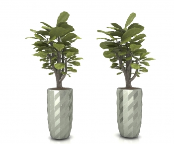 Modern Potted Green Plant-ID:802253962