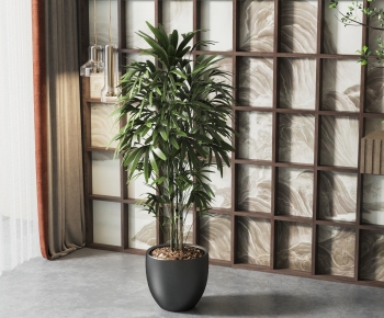 Modern Potted Green Plant-ID:586021904