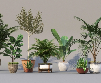 Modern Potted Green Plant-ID:875461108