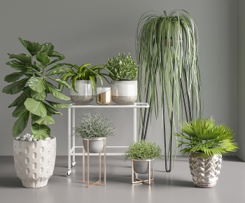 Modern Potted Green Plant-ID:269361027