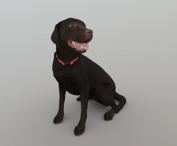 Modern Animal Dog-ID:283797986
