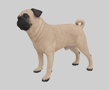 Modern Animal Dog-ID:293510918
