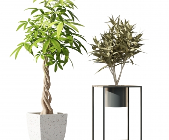 Modern Potted Green Plant-ID:885334977