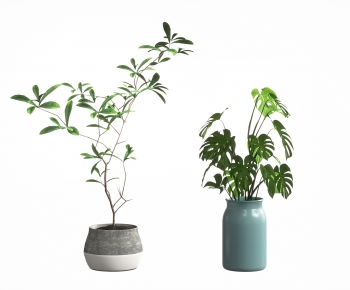 Modern Potted Green Plant-ID:699150669
