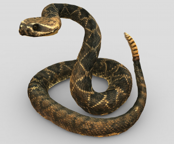 现代蛇-ID:107424028