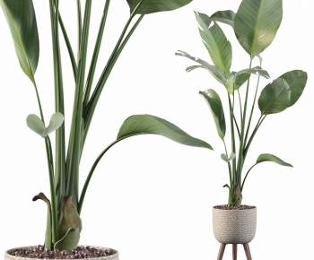Modern Potted Green Plant-ID:725739034