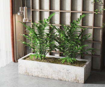 Modern Potted Green Plant-ID:230449915