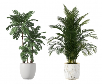 Modern Potted Green Plant-ID:137407068