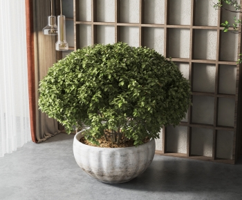 Modern Potted Green Plant-ID:579442986
