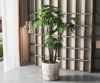 Modern Potted Green Plant-ID:508961929