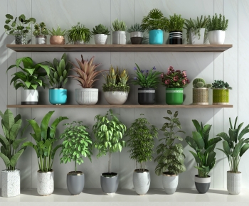 Modern Potted Green Plant-ID:391426094