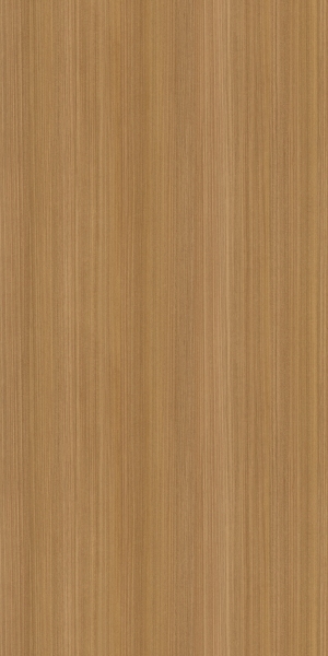 ModernWood Texture