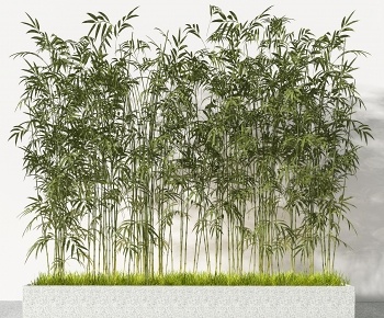 现代园艺竹子3D模型