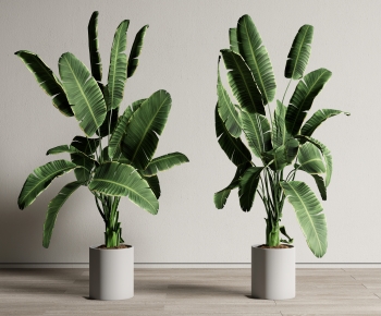 Modern Potted Green Plant-ID:949490181