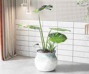 Modern Wabi-sabi Style Potted Green Plant-ID:437012919