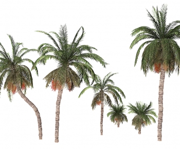 现代椰子树组合-ID:629199986