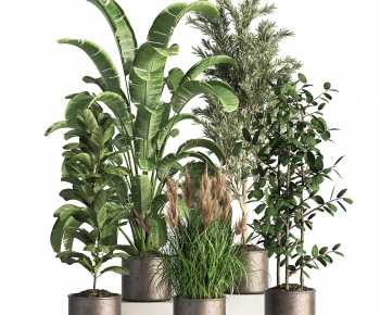 Modern Potted Green Plant-ID:627597097