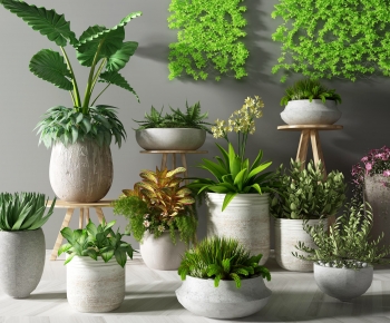 Modern Potted Green Plant-ID:751224996