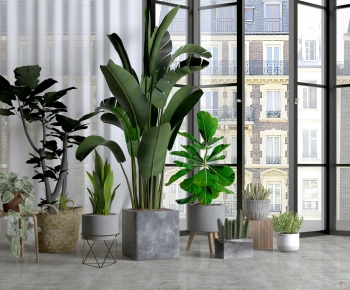 Modern Potted Green Plant-ID:882283937
