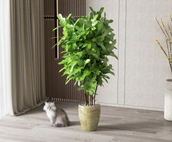 Modern Potted Green Plant-ID:607063062