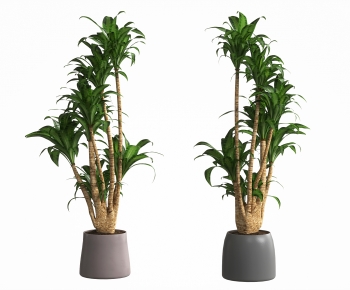 Modern Potted Green Plant-ID:185101036