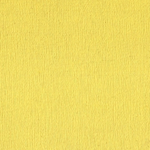 德国菲玛黄色仿亚麻布纹艺术漆-ID:5615218