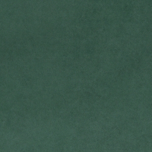 德国菲玛墨绿艺术漆-ID:600986969