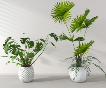 Modern Potted Green Plant-ID:932068119