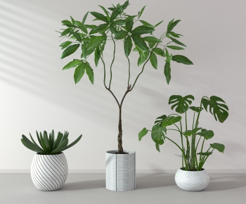 Modern Potted Green Plant-ID:736823084