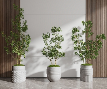 Modern Potted Green Plant-ID:978998906