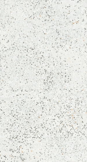 ModernTerrazzo