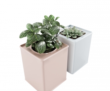 Modern Potted Green Plant-ID:524970058