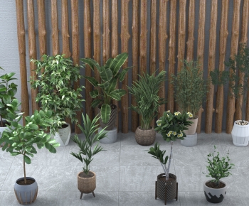 Modern Potted Green Plant-ID:961802017