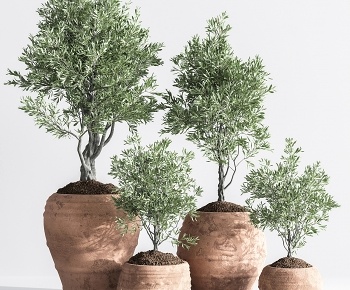现代落地绿植盆栽3D模型