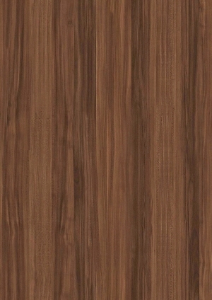 ModernWood Texture