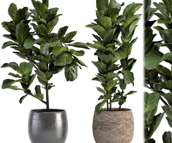 Modern Potted Green Plant-ID:137502916