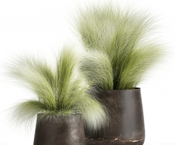 Modern Potted Green Plant-ID:579448945