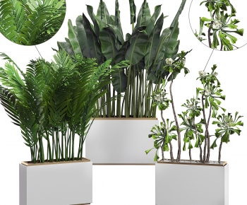 Modern Potted Green Plant-ID:693600898