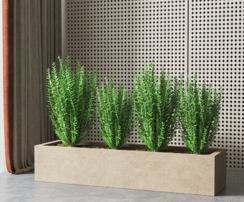 Modern Potted Green Plant-ID:781347992