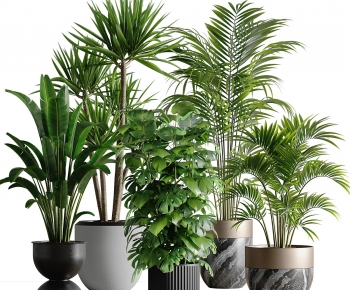 Modern Potted Green Plant-ID:384465935