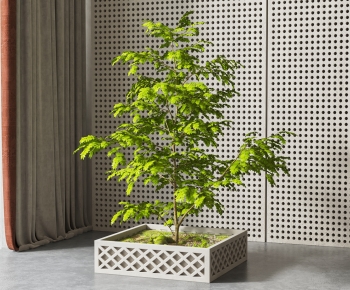 Modern Potted Green Plant-ID:176028015