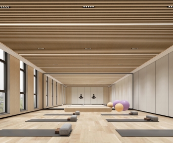 Modern Yoga Room-ID:695595037