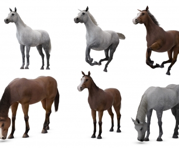 Modern Animal Horse-ID:105799916