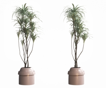 Wabi-sabi Style Potted Green Plant-ID:536787991